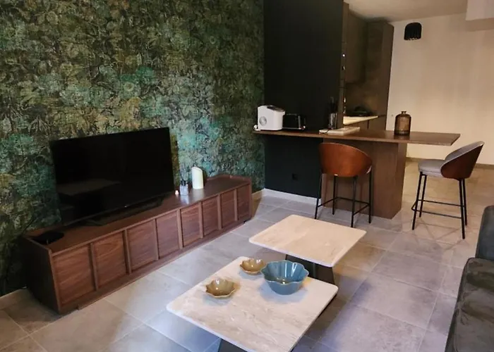 Superbe Centre Apartamento